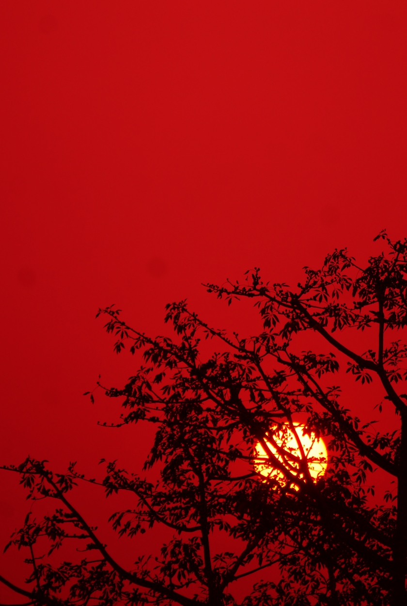 bloody red sky while sunset
